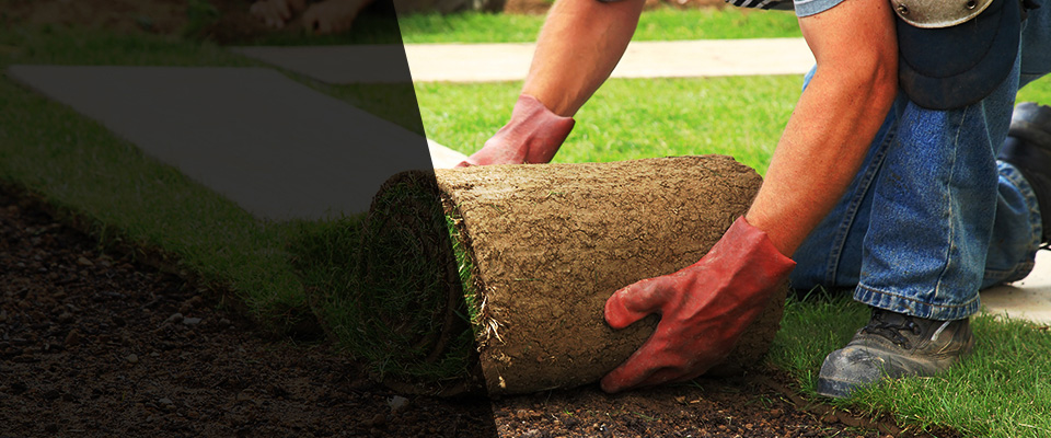 Avon Park Landscapers